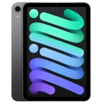 iPad Mini
